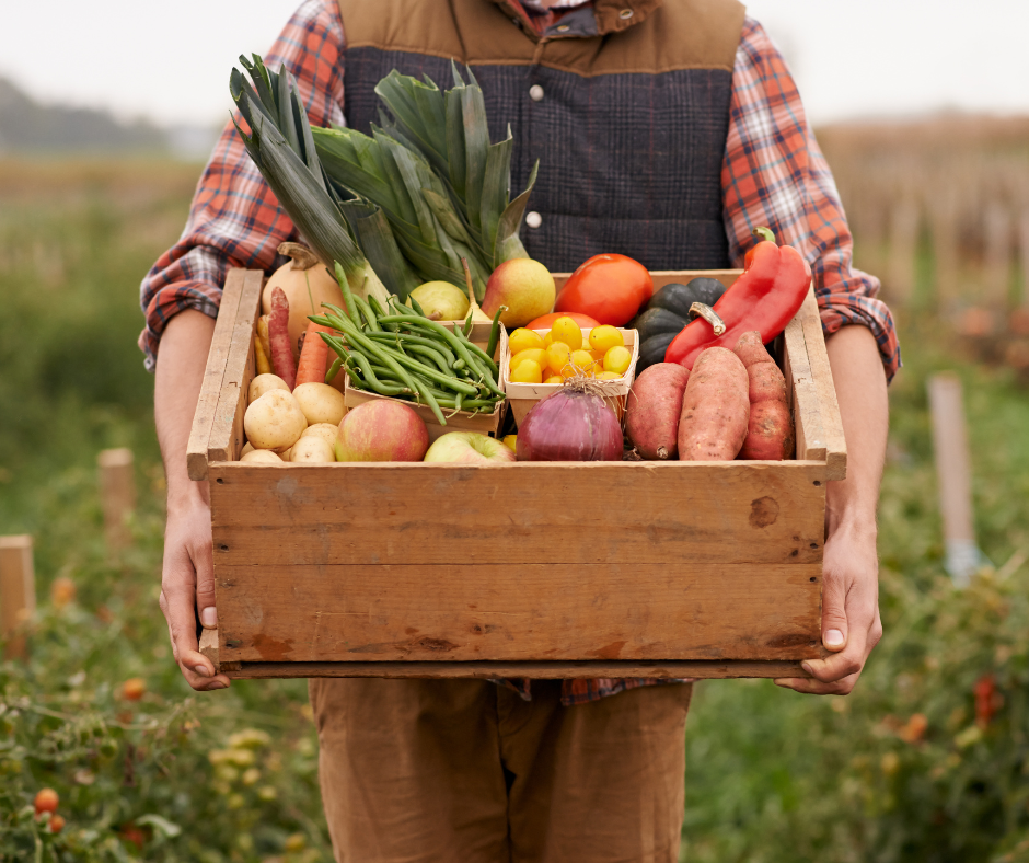 Discover the benefits of farm-to-market dining in senior living communities. By sourcing fresh, locally grown produce, senior residents enjoy flavorful, nutritious meals that support health, sustainability, and community connections, all while celebrating Florida’s rich agricultural heritage.