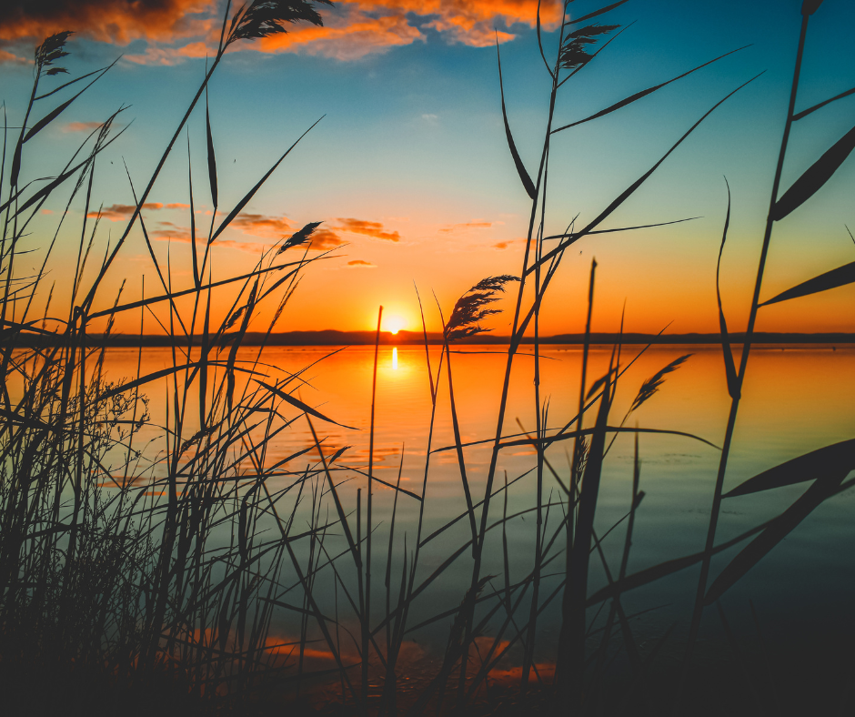 Water environments in senior living communities offer therapeutic benefits, enhancing mood, sleep, cognitive function, and social connection. Discover the power of blue spaces for senior health.