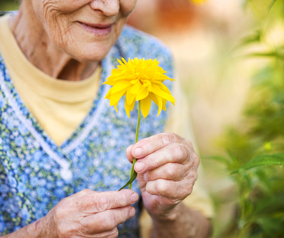 Explore Florida’s winter horticulture therapy programs for seniors, offering therapeutic benefits through plant care, sensory engagement, and cognitive stimulation in life plan communities. Enjoy hands-on gardening and nature activities designed for older adults.